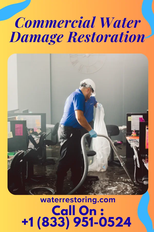 Commercial Water Damage Restoration in Belmar, NE